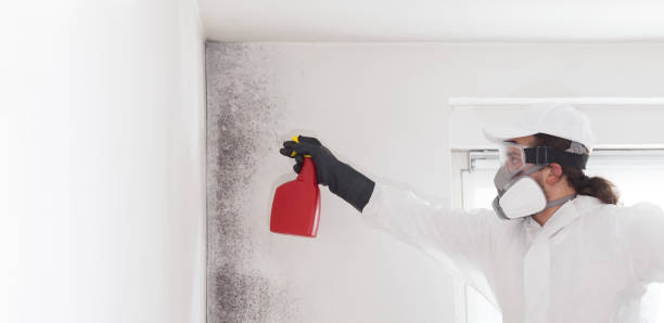 Best Mold Testing  in Wyndham, VA