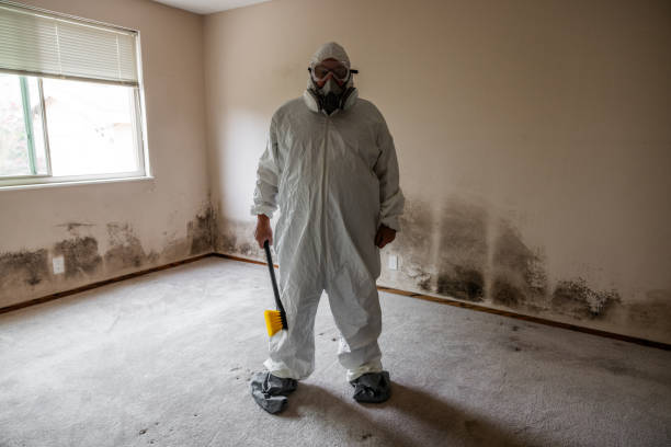 Best Water Damage Restoration  in Wyndham, VA