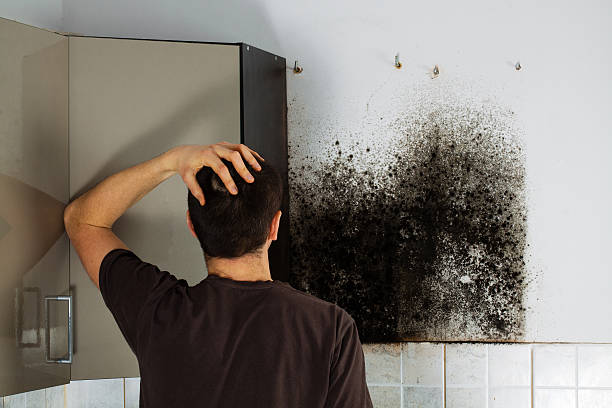 Best Commercial Mold Removal  in Wyndham, VA